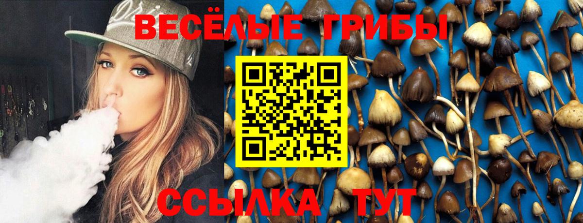 Галлюциногенные грибы GOLDEN TEACHER Ростов Великий